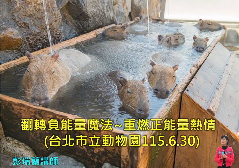 【翻轉負能量魔法，重燃正能量熱情~壓力紓解】台北市動物園授課後記~服務禮儀/口才溝通主持講師訓練/一對一輔導